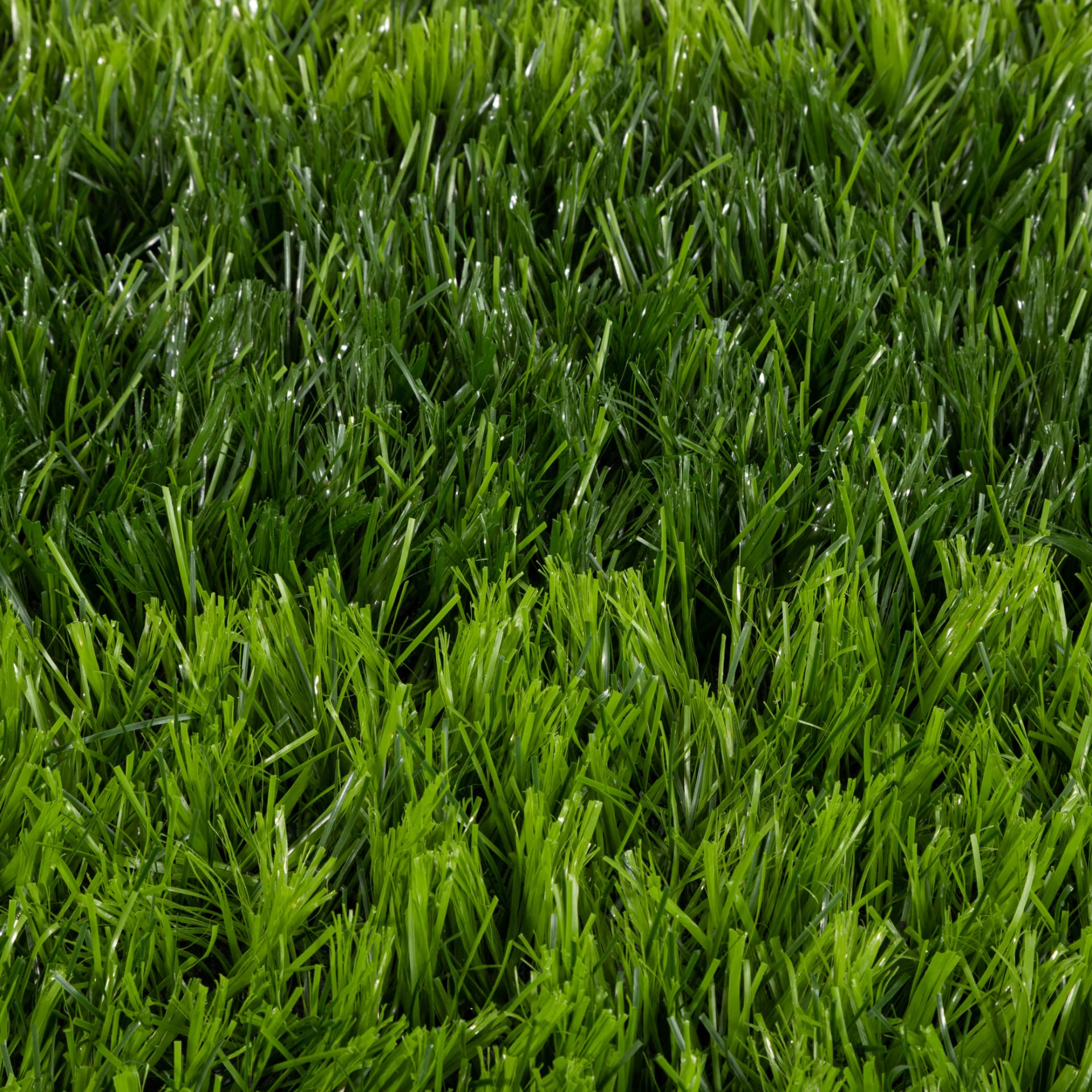 Detalle de fibras Extra Turf 70D