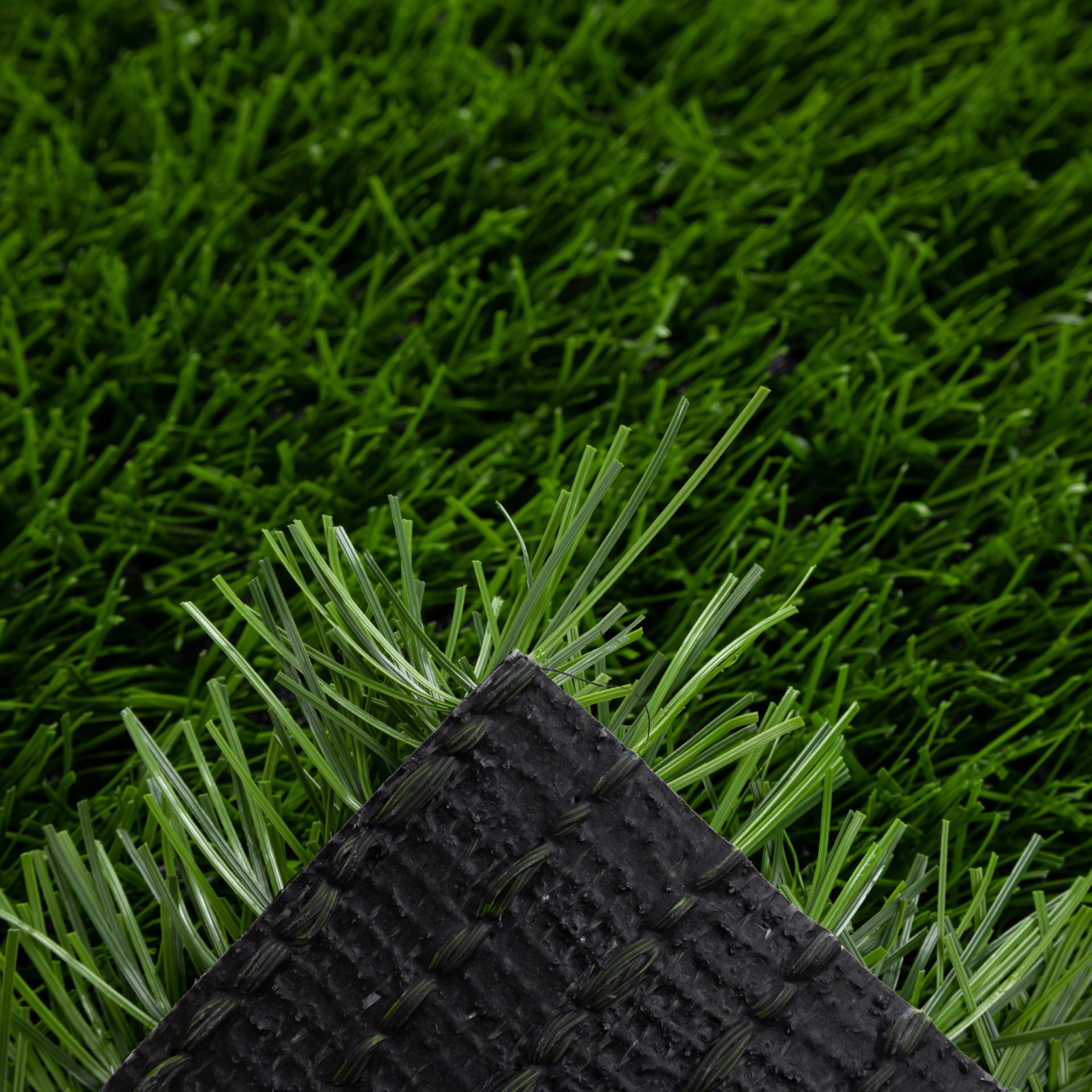 Detalle de fibras Spinegrass Stem